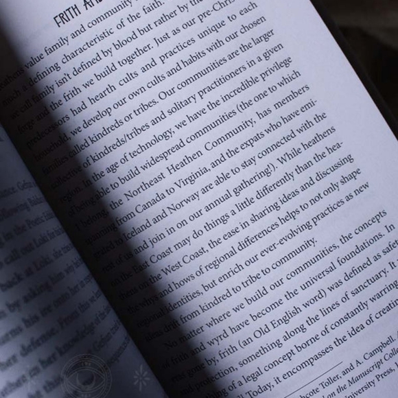 Loki and Sigyn - Lessons on Chaos, Laughter & Loyalty from the Norse Gods - Picture 2 of 2